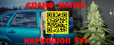 СК Волгодонск