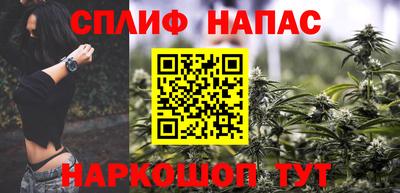 СК Волгодонск
