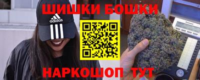 СК Волгодонск