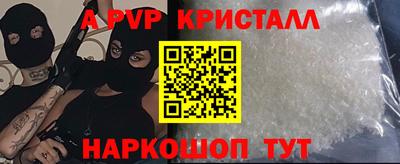 СК Волгодонск